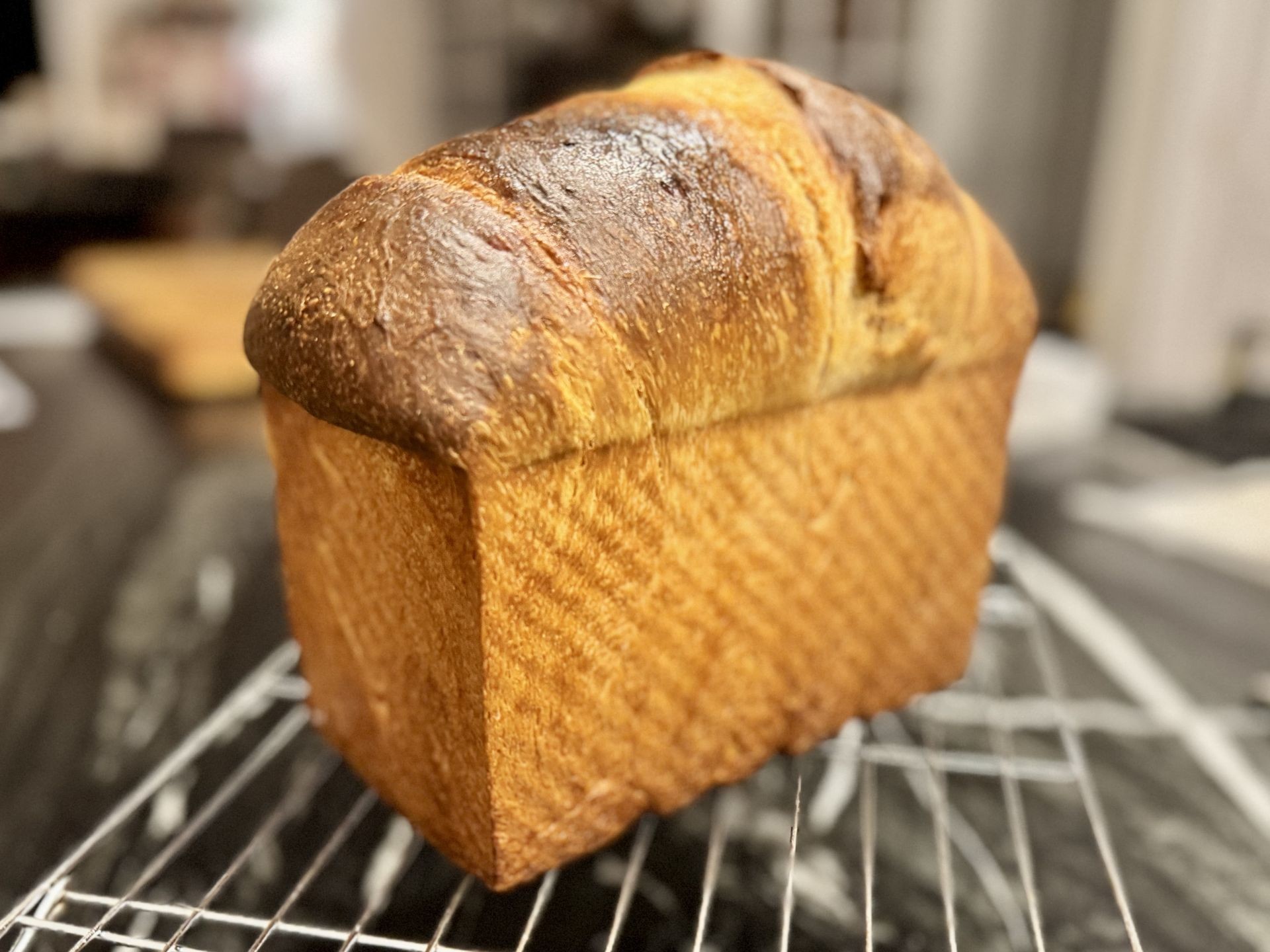 Artisan Bread Selection