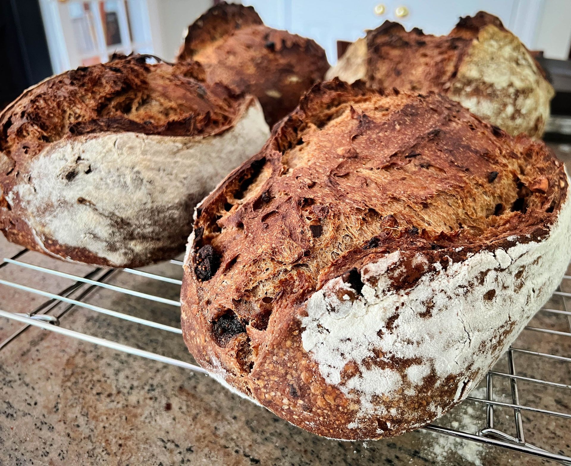 Olive Rosemary Sourdough